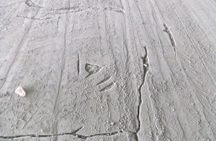 水泥地面防潮方法 雨天再也不怕潮湿，兼谈建筑砌块销售的选择